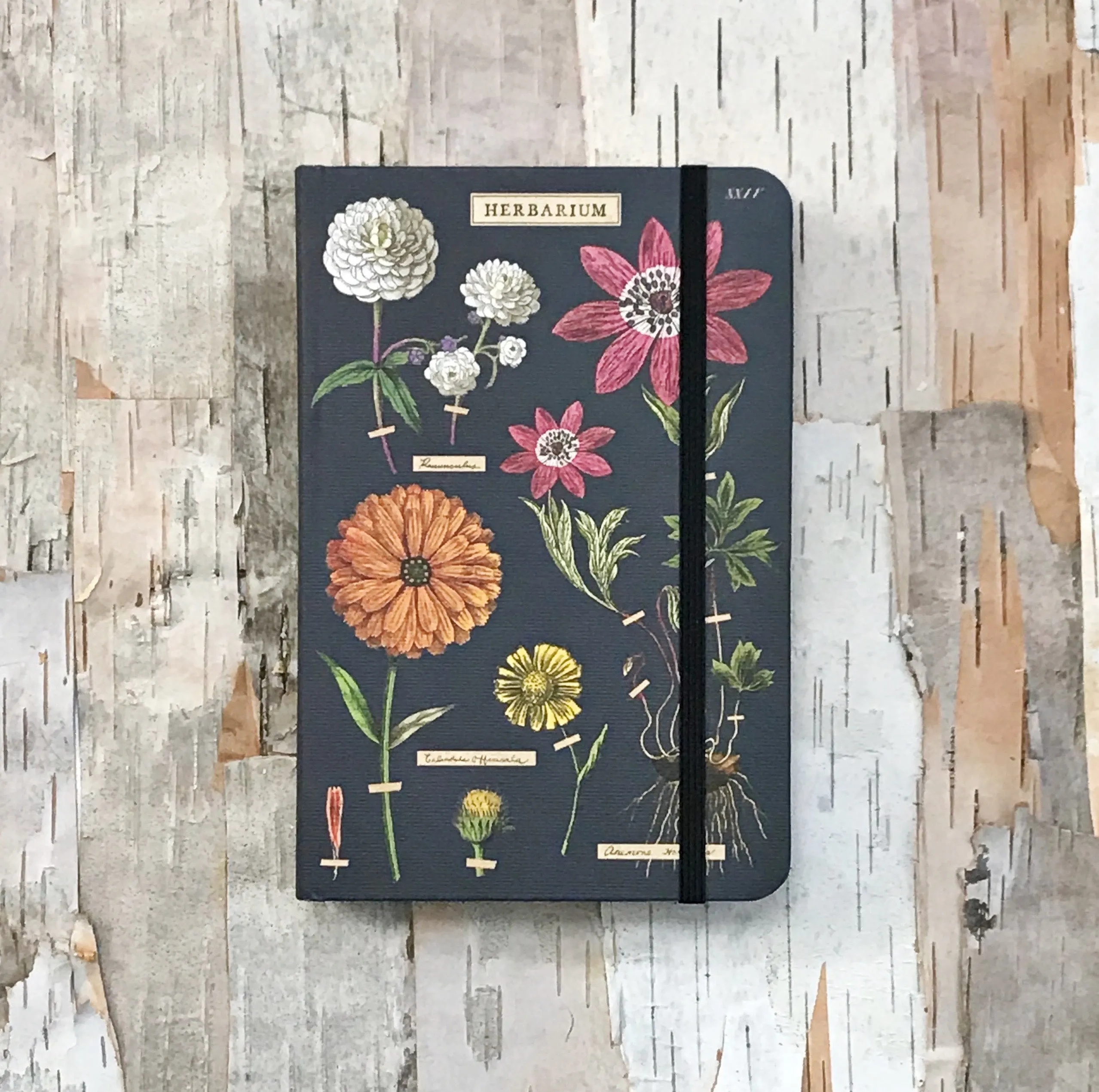 Small Notebook Cavallini